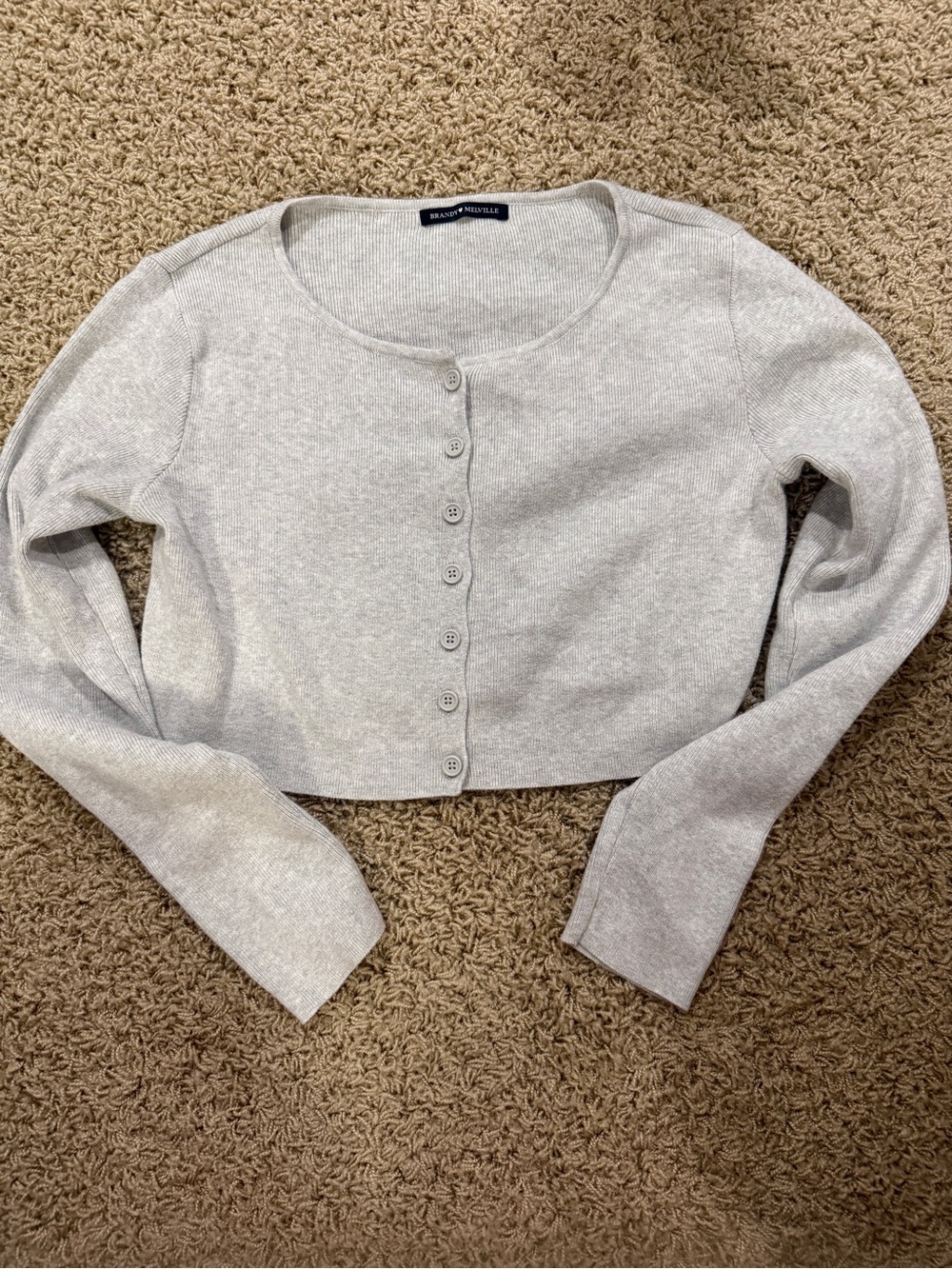 Brandy Melville Light Gray Button-Up Cropped Sweater